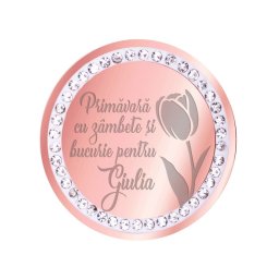 Martisor Brosa Inox Banut Pietre Nume Giulia Rose Gold