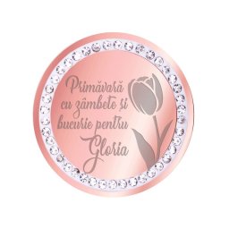 Martisor Brosa Inox Banut Pietre Nume Gloria Rose Gold