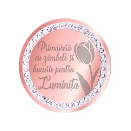 Martisor Brosa Inox Banut Pietre Nume Luminita Rose Gold