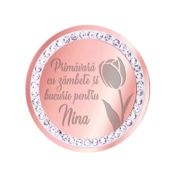 Martisor Brosa Inox Banut Pietre Nume Nina Rose Gold