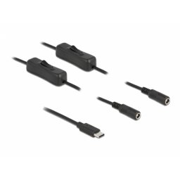 Cablu USB Type-C la 2 x DC 5.5 x 2.1 mm cu switch T-M 1m, Delock 86800