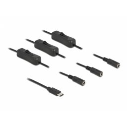 Cablu USB Type-C la 3 x DC 5.5 x 2.1 mm cu switch T-M 1m, Delock 86801