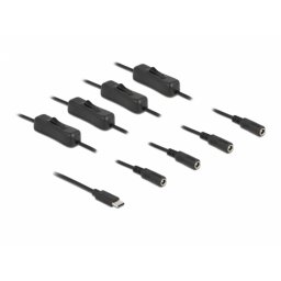 Cablu USB Type-C la 4 x DC 5.5 x 2.1 mm cu switch T-M 1m, Delock 86802