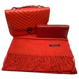 Red Glam Set Geanta, Portofel si Esarfa Casmir