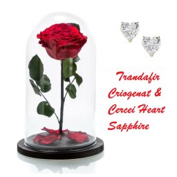 Trandafir Rosu Criogenat Cupola 20 cm Cercei Sapphire Heart Gold