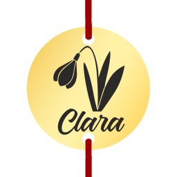 Martisor Bratara Inox Banut Auriu Nume Clara