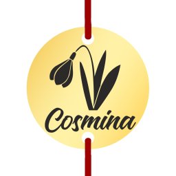 Martisor Bratara Inox Banut Auriu Nume Cosmina