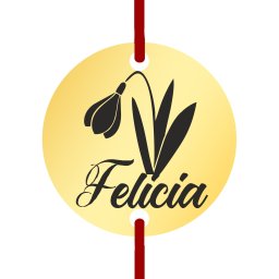 Martisor Bratara Inox Banut Auriu Nume Felicia