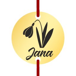 Martisor Bratara Inox Banut Auriu Nume Jana