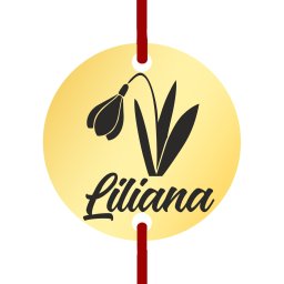 Martisor Bratara Inox Banut Auriu Nume Liliana