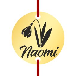 Martisor Bratara Inox Banut Auriu Nume Naomi