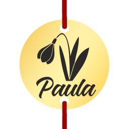Martisor Bratara Inox Banut Auriu Nume Paula