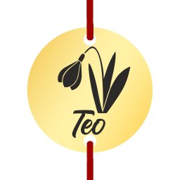 Martisor Bratara Inox Banut Auriu Nume Teo