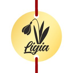 Martisor Bratara Inox Banut Auriu Nume Ligia