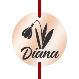 Martisor Bratara Inox Banut Rose Gold Nume Diana