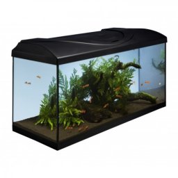 Acvariu Diversa 80 Negru