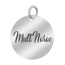 Martisor Pandantiv Inox Banut Argintiu Mult Noroc