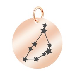 Martisor Pandantiv Inox Banut Rose Gold Constelatie Capricorn