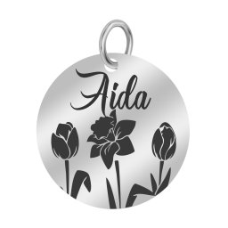 Martisor Pandantiv Inox Banut Argintiu Nume Aida