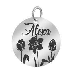 Martisor Pandantiv Inox Banut Argintiu Nume Alexa