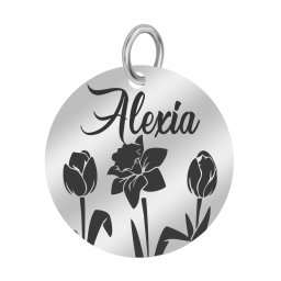 Martisor Pandantiv Inox Banut Argintiu Nume Alexia