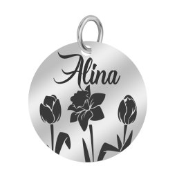 Martisor Pandantiv Inox Banut Argintiu Nume Alina