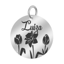 Martisor Pandantiv Inox Banut Argintiu Nume Luiza