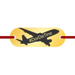 Martisor Bratara Inox Placuta Aurie Avion Dor de Tine