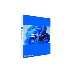 Licenta OEM Microsoft Windows 11 Pro 64 bit Romanian