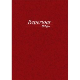 Registru repertoar A4 200 file