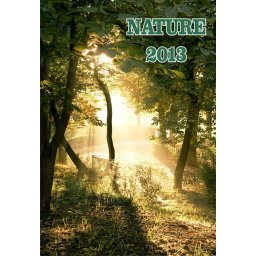 Calendar de perete 42x29.7cm A3 2022 personalizat - 12 file