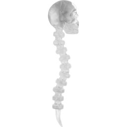 Ustensila ulei si concentrate Designer Glass Dabber Skull transparent