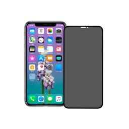 Folie Sticla Tempered Glass iPhone XR iPhone 11 6.1 4D/5D Full Glue Fullcover Black Privacy