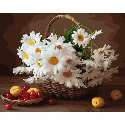Set pictura pe numere premium, cu sasiu, Margarete salbatice, 40x50 cm