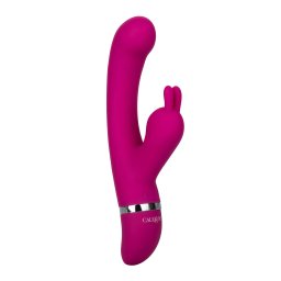 California Exotics Foreplay Frenzy Bunny Kisser Pink