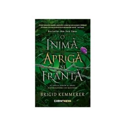 O inima apriga si franta. Seria Distrugatorii de blesteme, Vol. 2