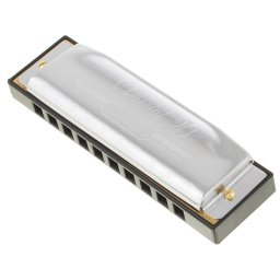 Hohner Special 20 Classic C muzicuta