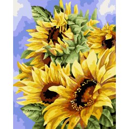 Set pictura pe numere, cu sasiu, Flori de aur, 40x50 cm