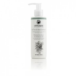 Sampon cu tea tree si plante, anti matreata, Odylique by Essential Care, 200ml