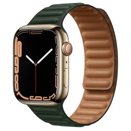 Ceas Smartwatch Apple Watch Series 7, GPS + Cellular, 41mm Gold Stainless Steel Case, Sequoia Green Leather Link
