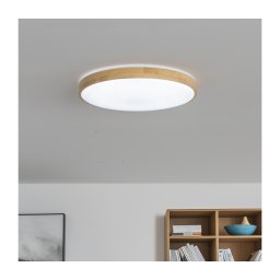 BRILAGI - Plafonier LED reglabil PINE LED/24W/230V + telecomandă