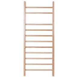 Spalier gimnastica inSPORTline Steadyline 250 x 90 cm