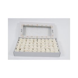 Trandafiri De Sapun 50/Set Alb/Crem