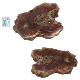 Fosil Lemn Mineral Natural Neregulat - 155x123x17 mm - ( XXL ) - Unicat