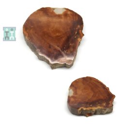 Fosil Lemn Mineral Natural Neregulat - 116x107x22 mm - ( XXL ) - Unicat