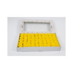 Trandafiri De Sapun 50/Set Galben