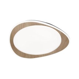 Rabalux 2427 - Plafonieră LED TAMINO LED/24W/230V