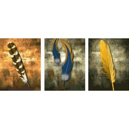 Set 3 picturi pe numere, cu sasiu, Pene, 50 x 120 cm