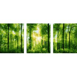 Set 3 picturi pe numere, cu sasiu, Raze de soare, 50 x 120 cm