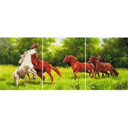 Set 3 picturi pe numere, cu sasiu, Spirit liber, 50 x 120 cm